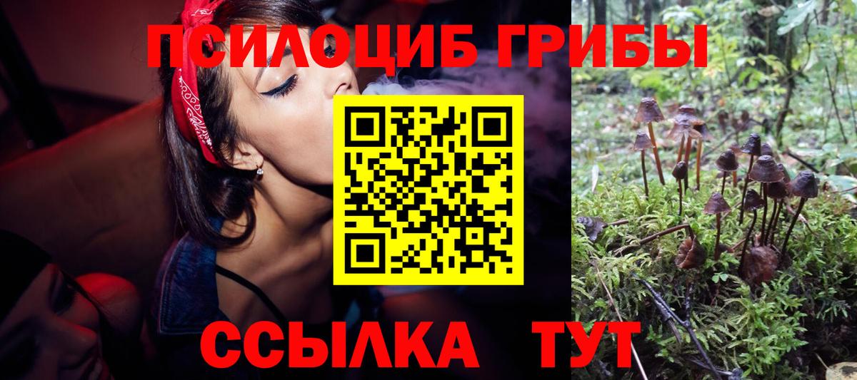 Галлюциногенные грибы ЛСД Волоколамск