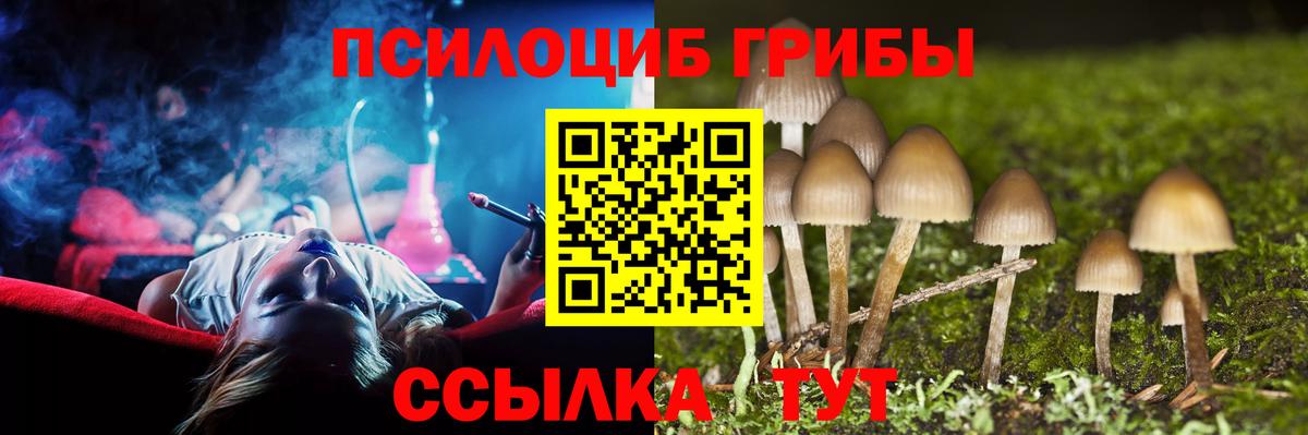 цена наркотик  Вход с VPN  Галлюциногенные грибы Psilocybine cubensis  Волоколамск  Псилоцибиновые грибы Magic Shrooms 